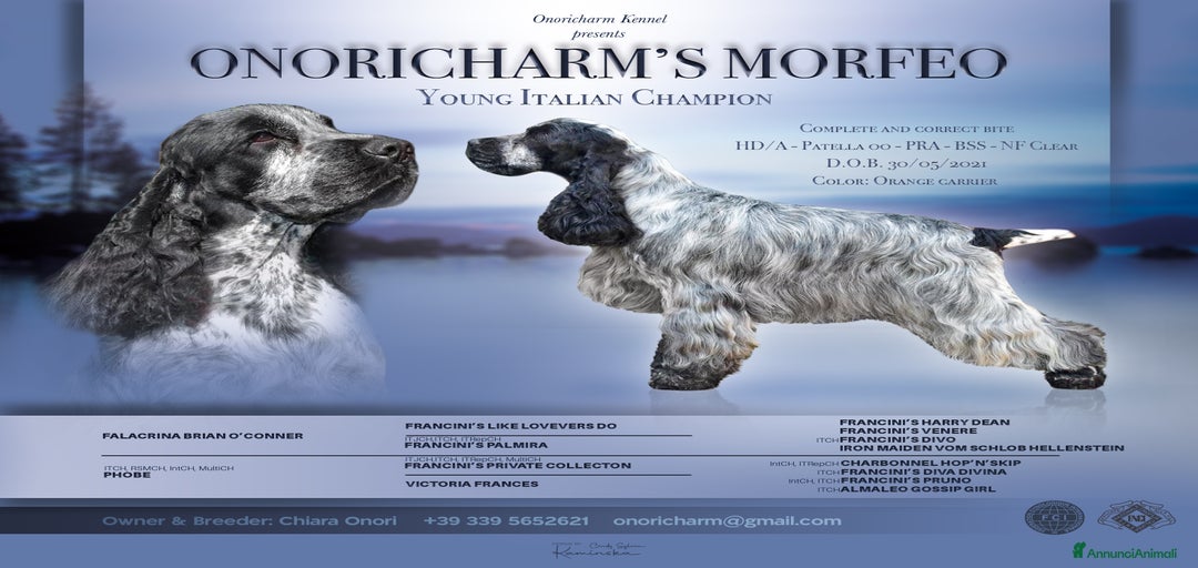 Immagine della galleria {{count}}