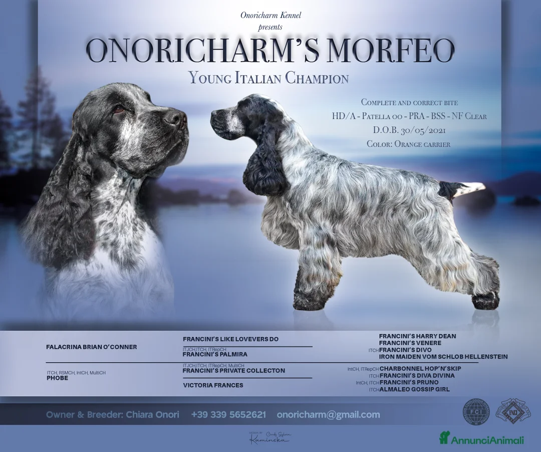 Immagine della galleria {{count}}