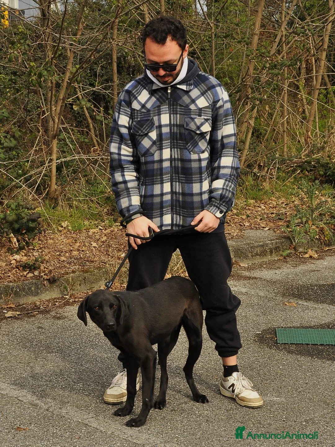 Meticcio cani in regalo: gohan - Annuncio 2