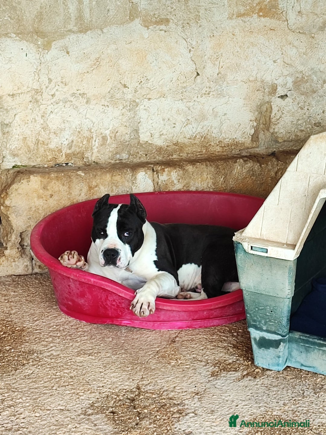 Immagine della galleria {{count}}