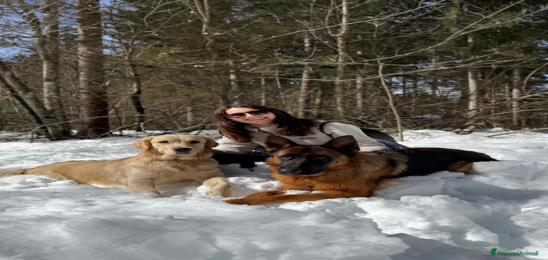 Immagine della galleria {{count}}