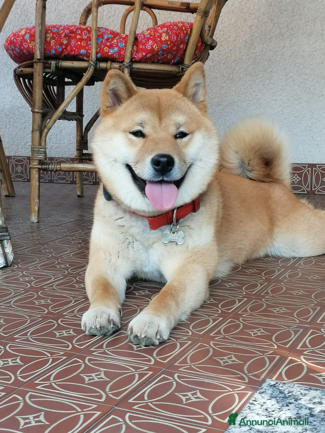 Immagine della galleria {{count}}