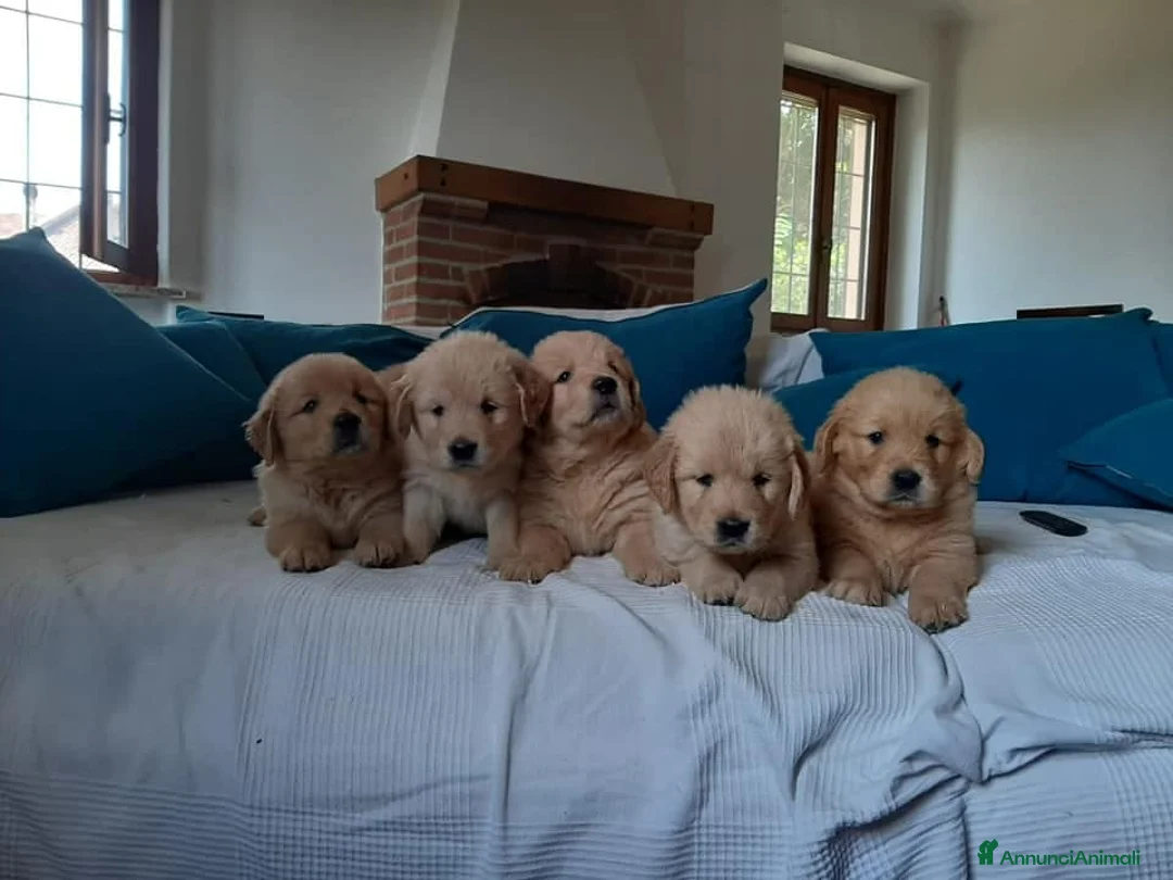 Immagine della galleria {{count}}