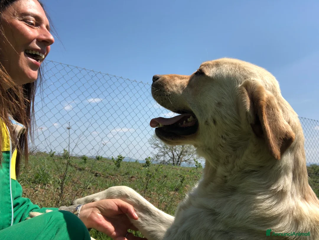 Immagine della galleria {{count}}