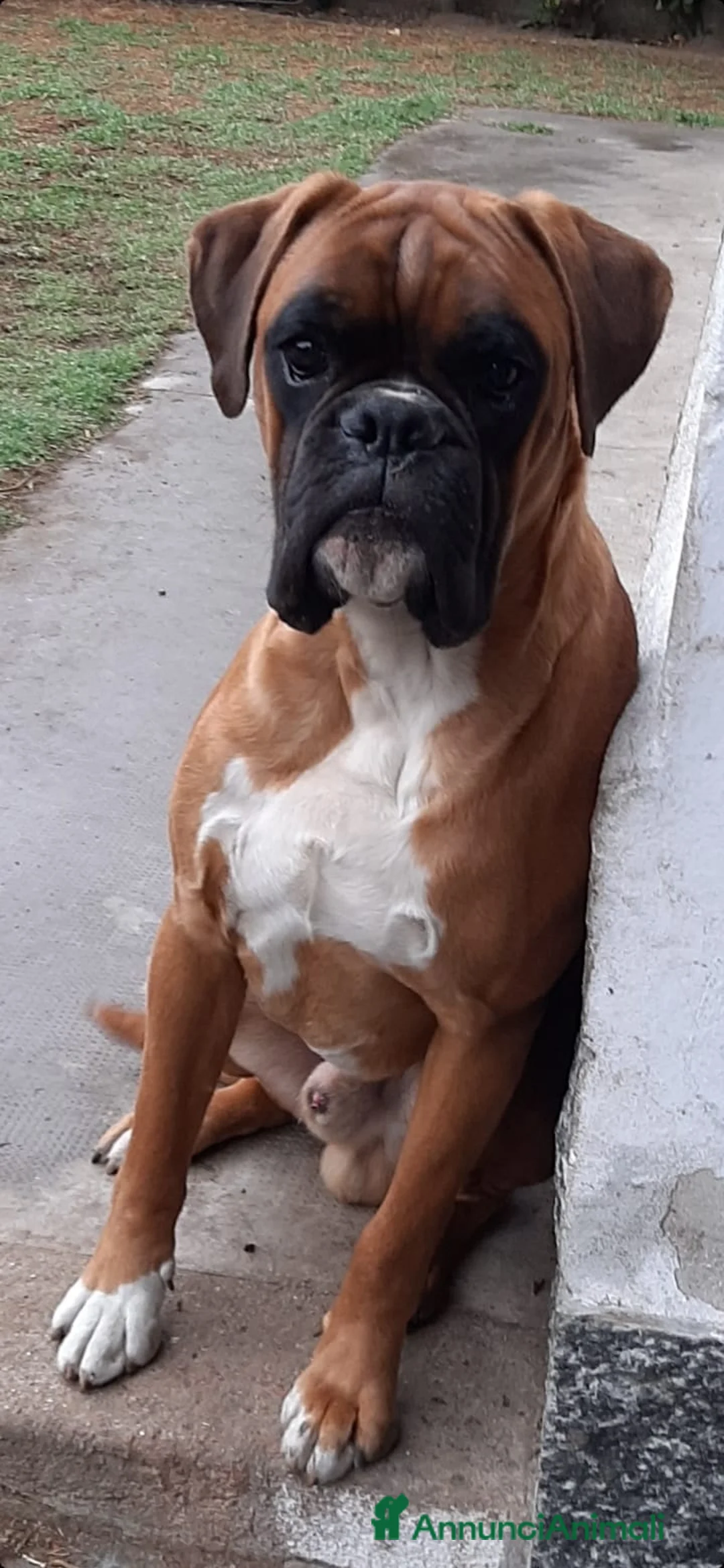 Immagine della galleria {{count}}