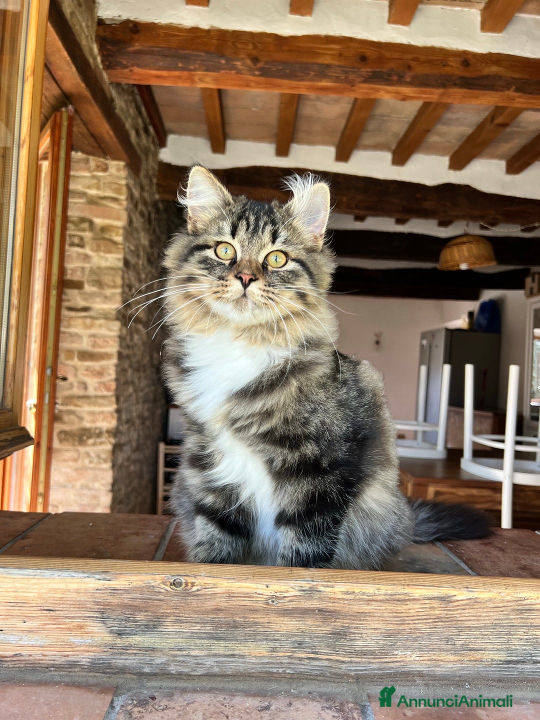 Immagine della galleria {{count}}