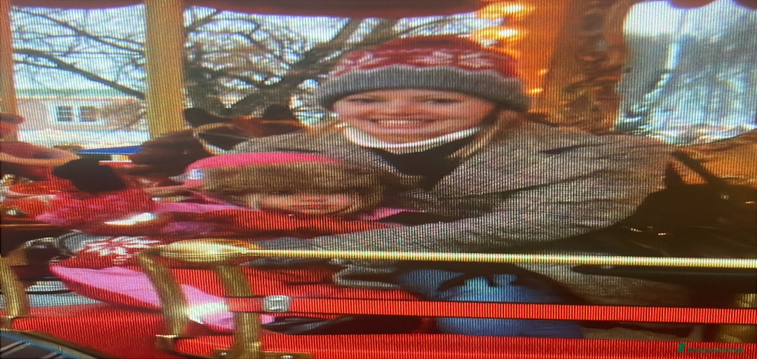 Immagine della galleria {{count}}