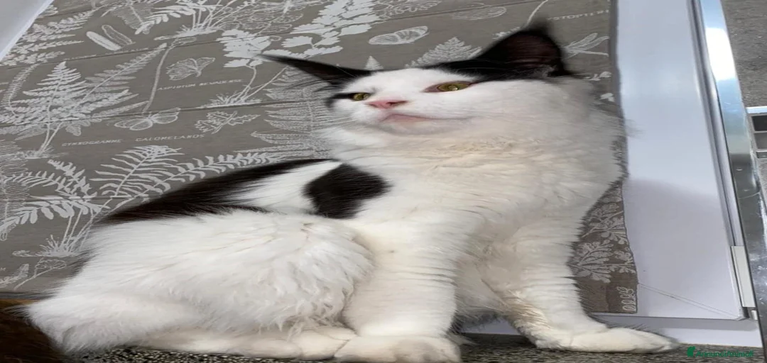 Immagine della galleria {{count}}