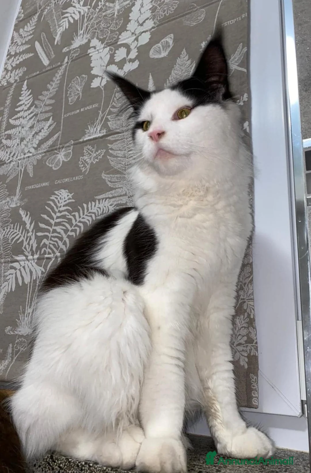 Immagine della galleria {{count}}