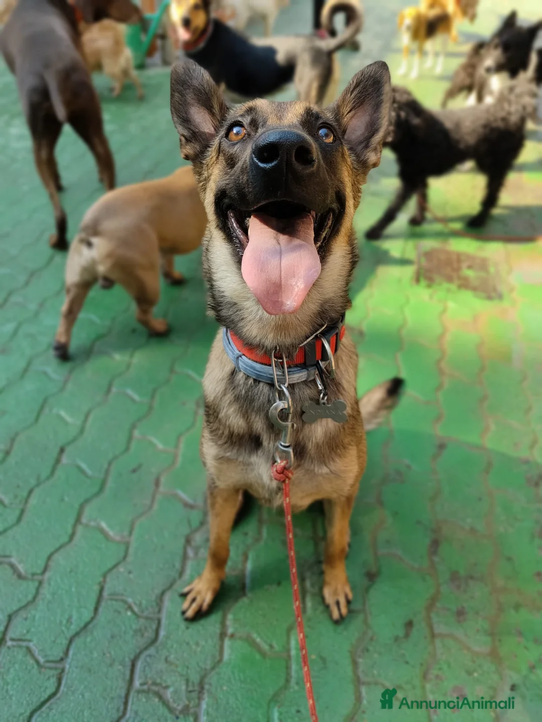 Immagine della galleria {{count}}