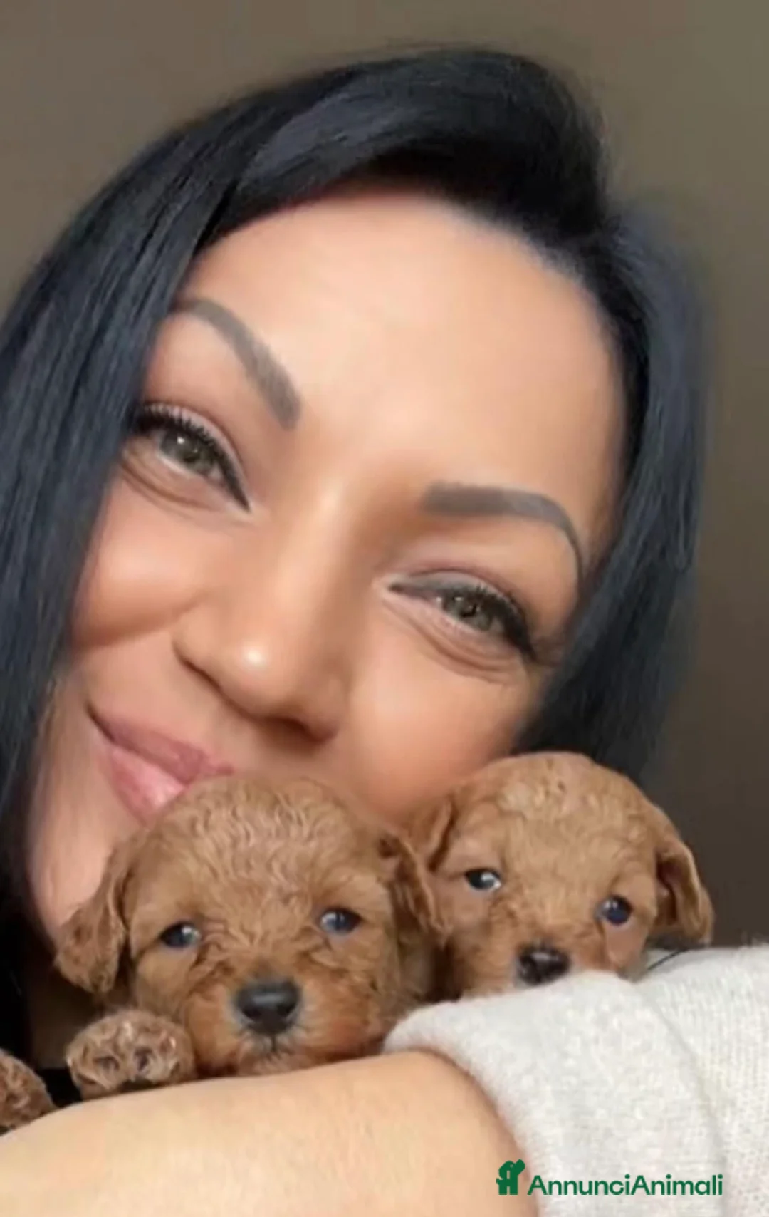 Barboncino cani in vendita: Barboncino nano❤️🐻 - Annuncio 4