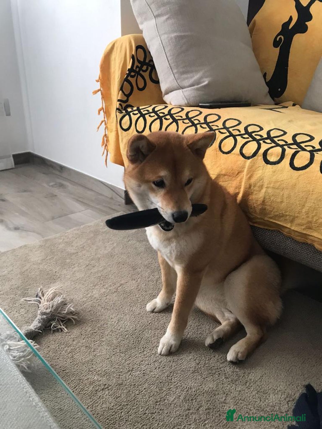 Immagine della galleria {{count}}