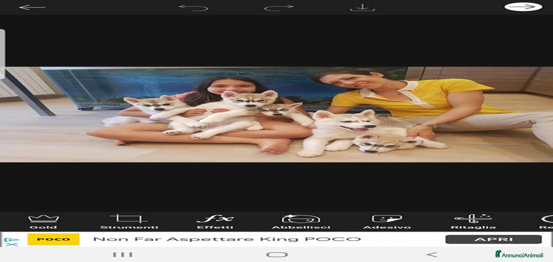 Immagine della galleria {{count}}