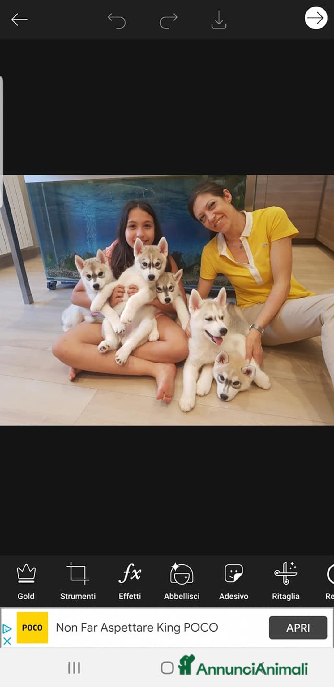 Immagine della galleria {{count}}