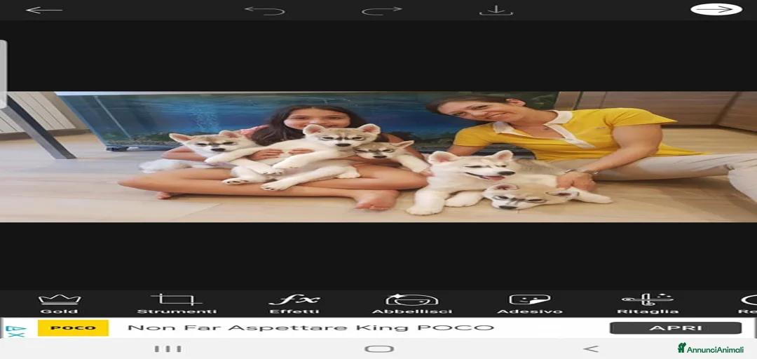 Immagine della galleria {{count}}