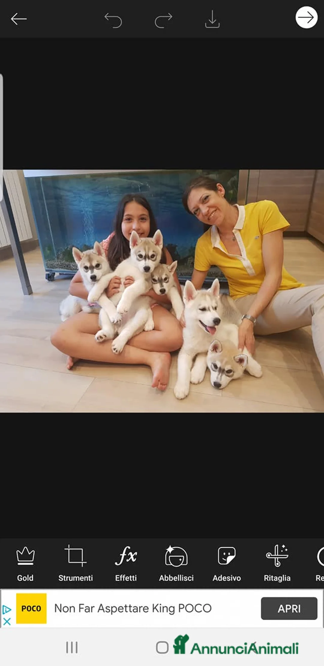 Immagine della galleria {{count}}