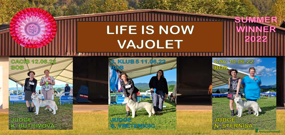 Immagine della galleria {{count}}