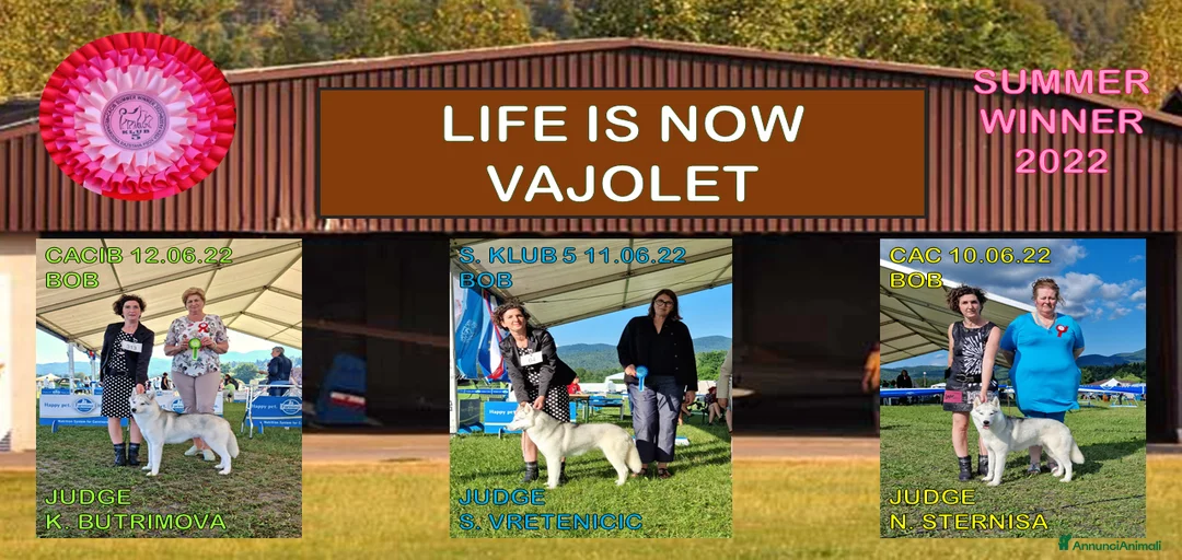 Immagine della galleria {{count}}