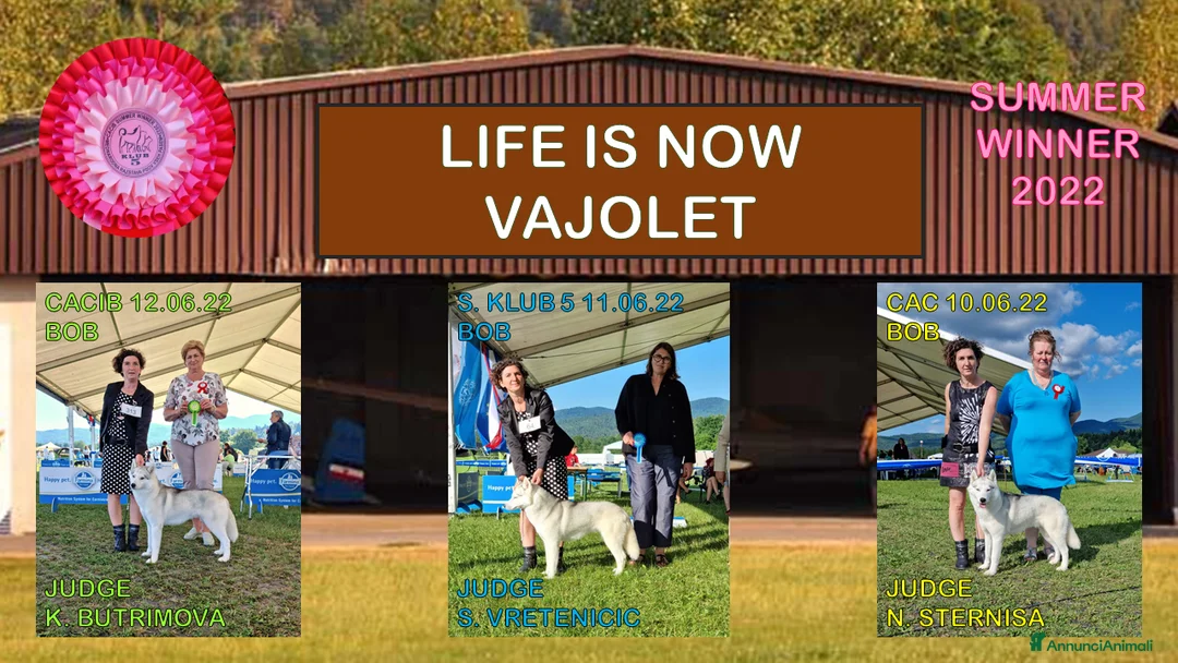 Immagine della galleria {{count}}