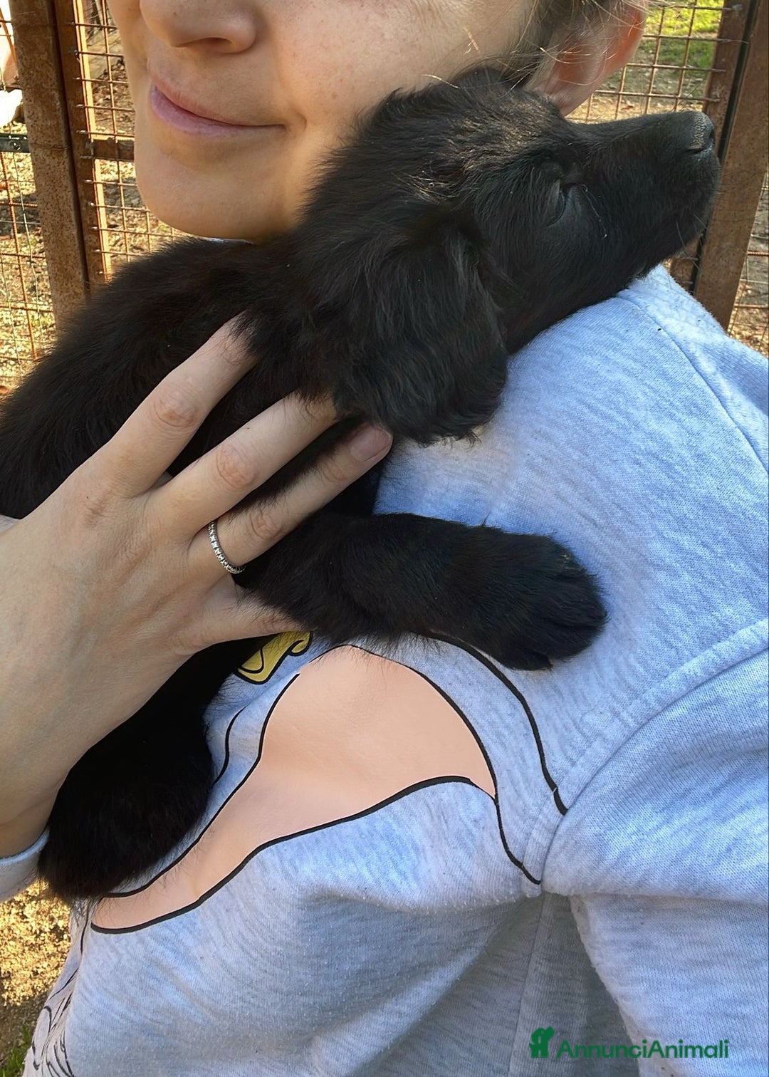 Meticcio cani in regalo: ZAFFIRO SMERALDO DIAMANTE - Annuncio 2