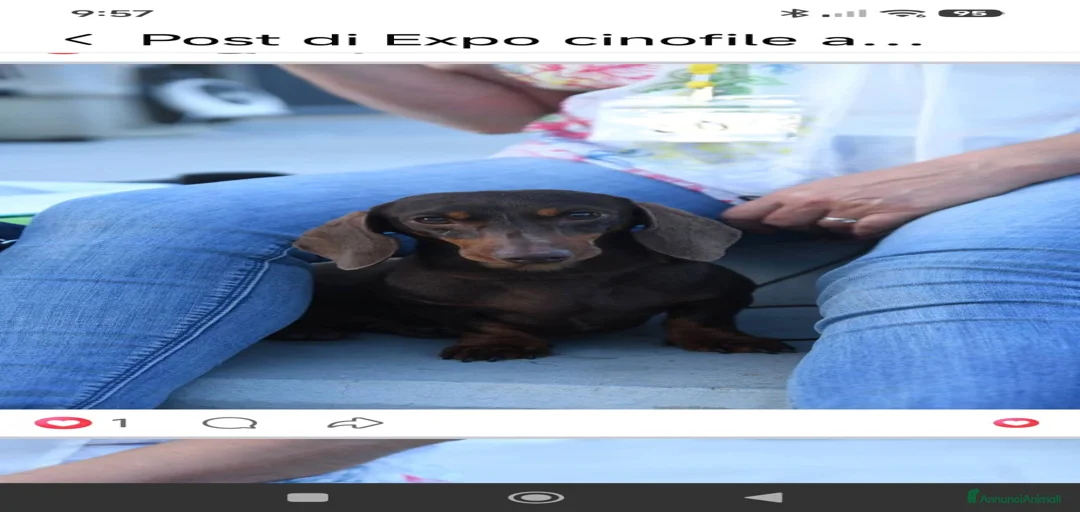 Immagine della galleria {{count}}