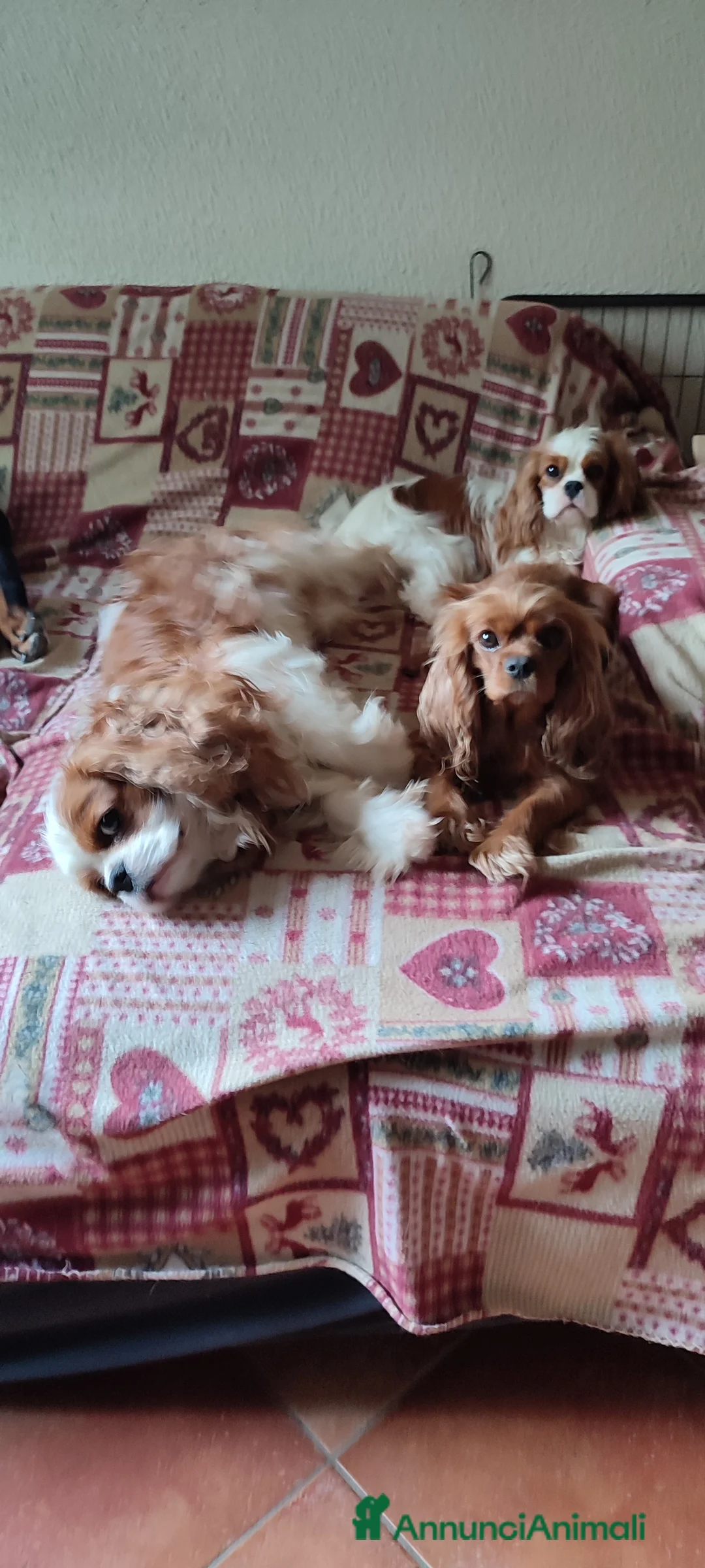 Immagine della galleria {{count}}