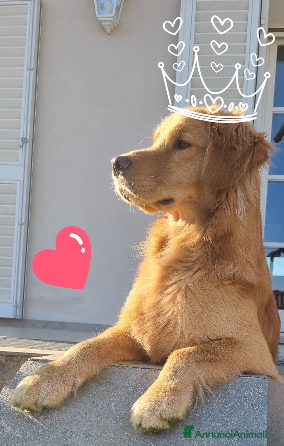 Immagine della galleria {{count}}