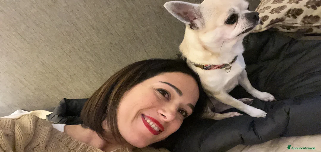 Immagine della galleria {{count}}