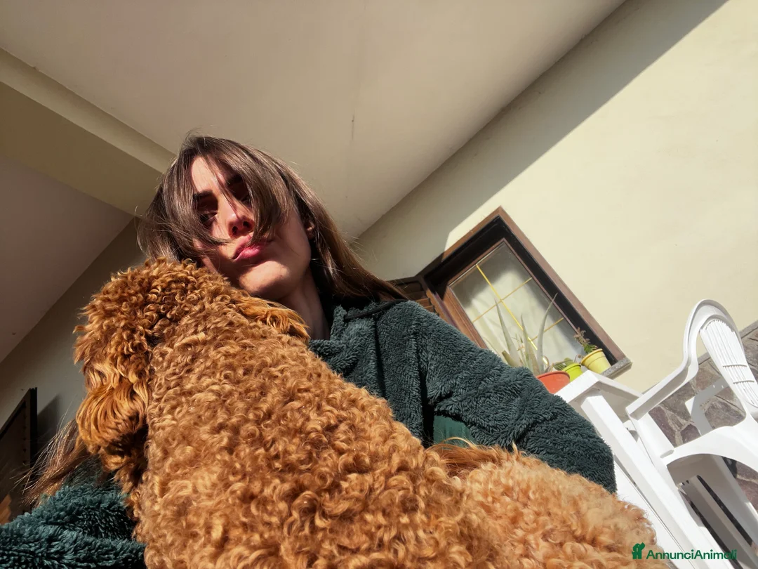 Immagine della galleria {{count}}