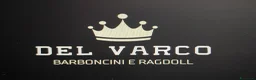 Barboncino cani in vendita: Barboncini nani con pedigree ENCI - Annuncio 2