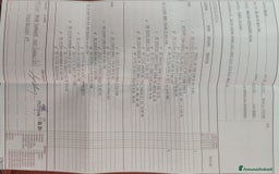 American Staffordshire cani in regalo: Amstaff maschio  - Immagine 8