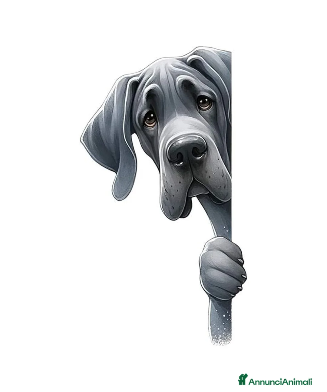 Immagine della galleria {{count}}