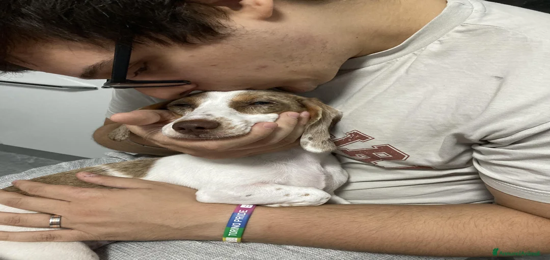 Immagine della galleria {{count}}