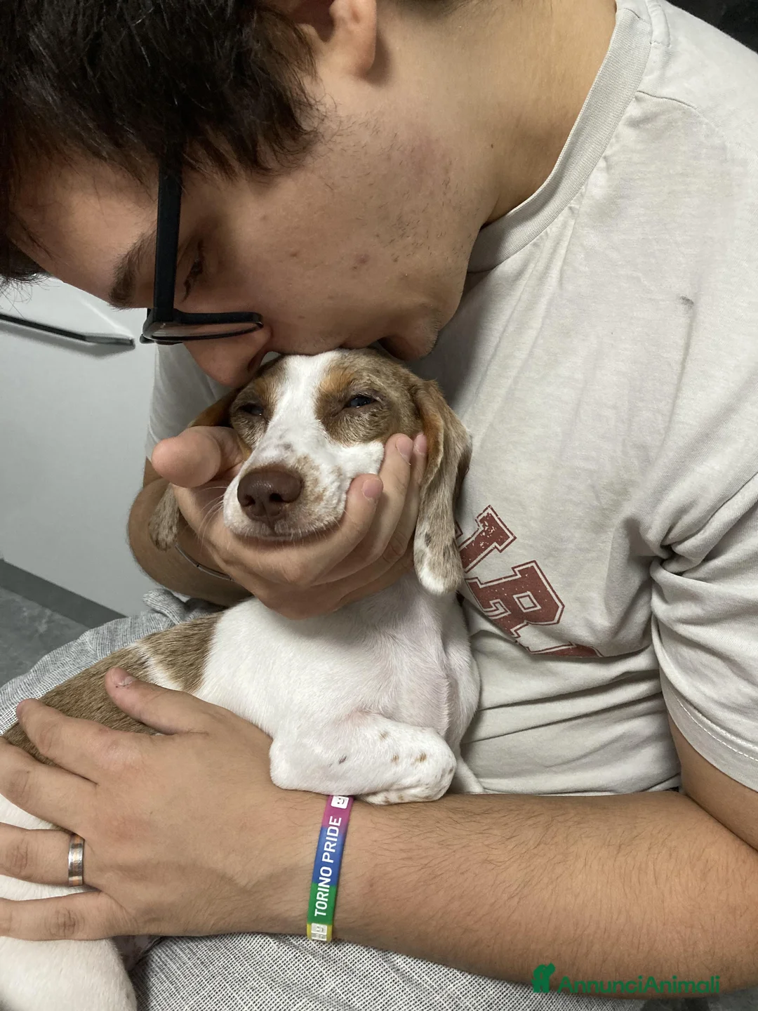 Immagine della galleria {{count}}