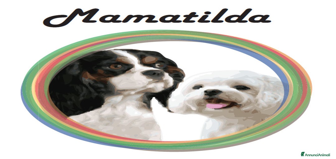 Immagine della galleria {{count}}