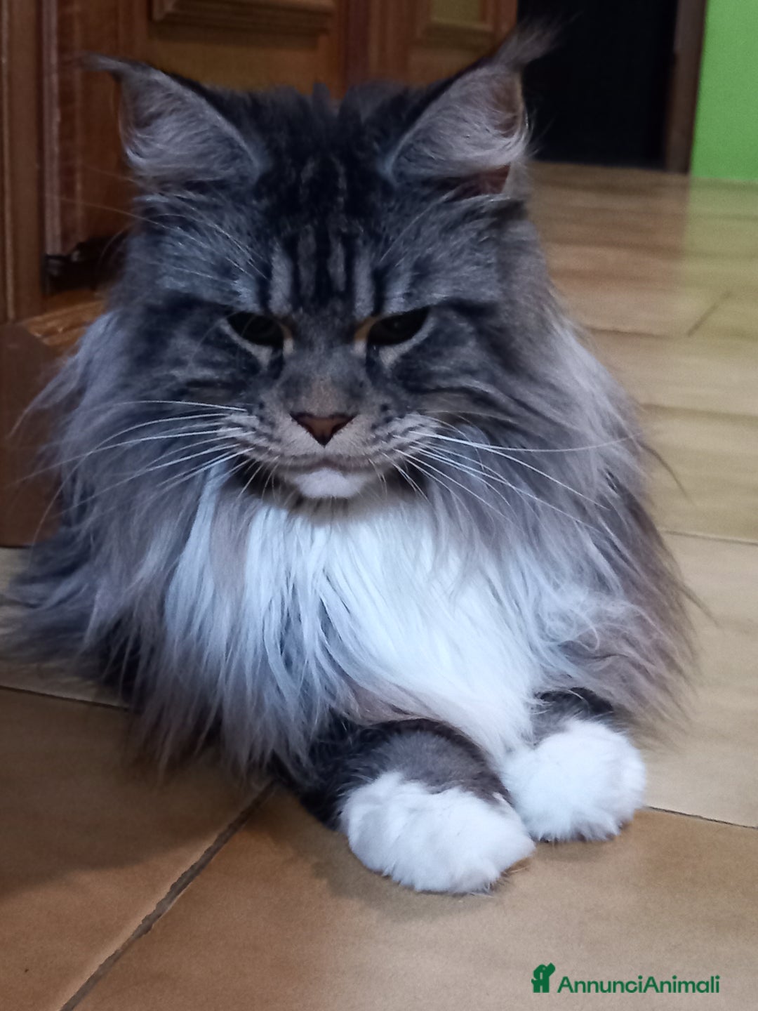 Immagine della galleria {{count}}