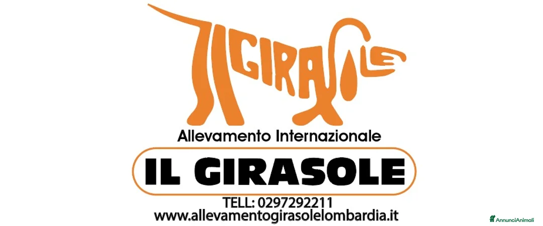 Immagine della galleria {{count}}