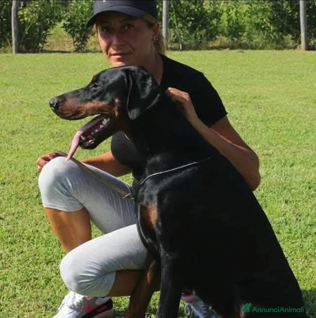 Immagine della galleria {{count}}