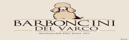 Barboncino cani in vendita: Barboncini Nani disponibili con Pedigree ENCI  - Annuncio 8
