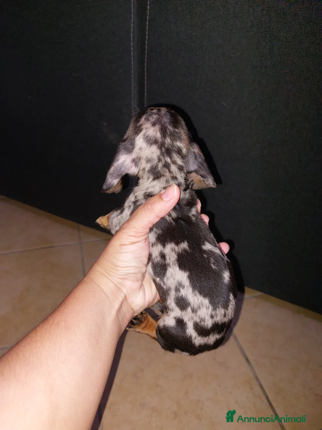 Immagine della galleria {{count}}