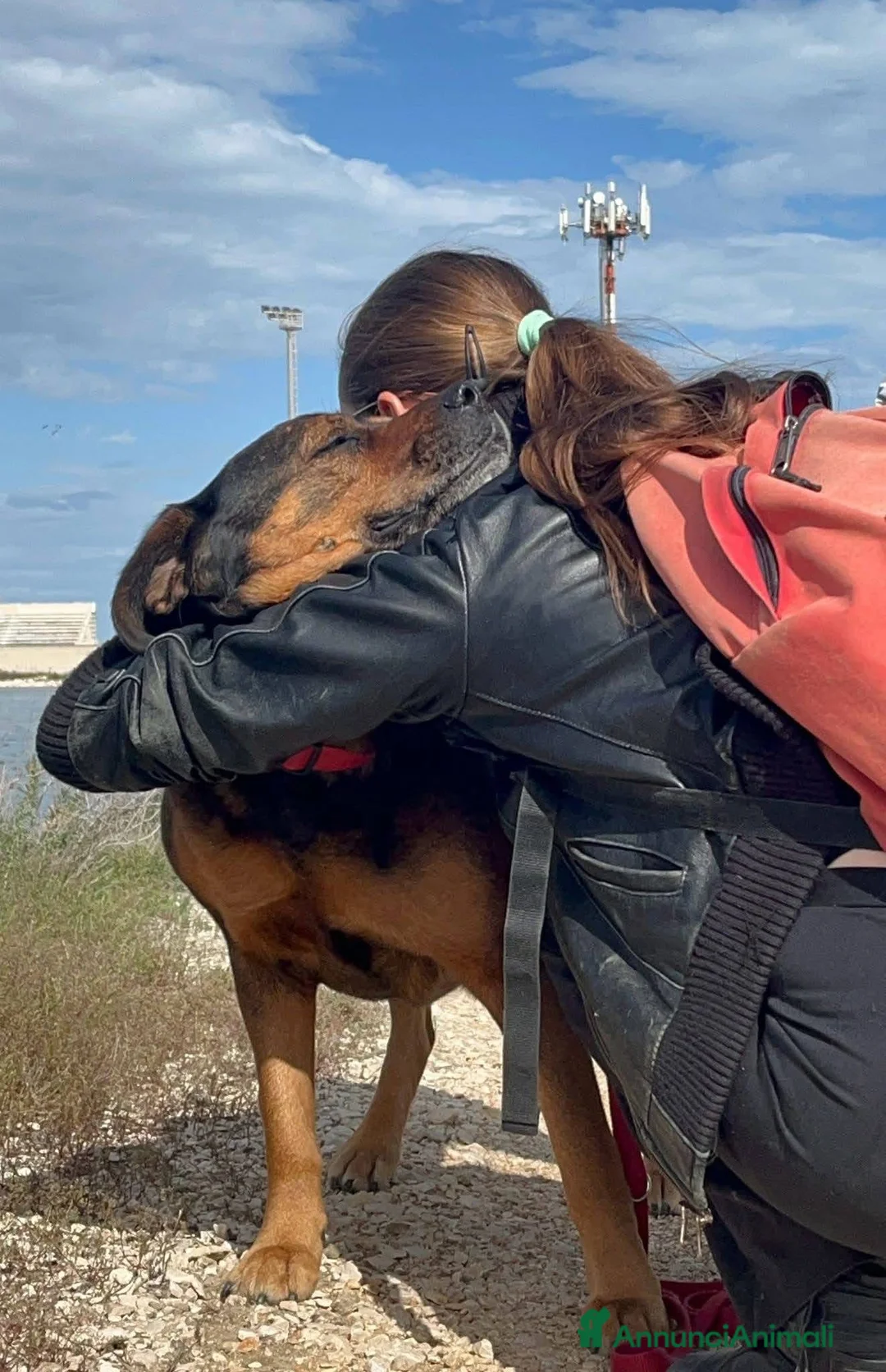 Dogue de Bordeaux cani in regalo: Nina 7 anni - Annuncio 6