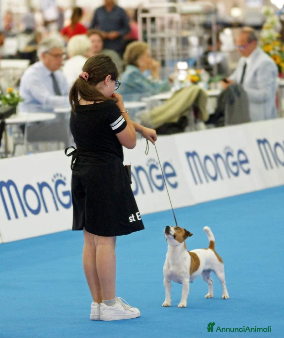 Immagine della galleria {{count}}