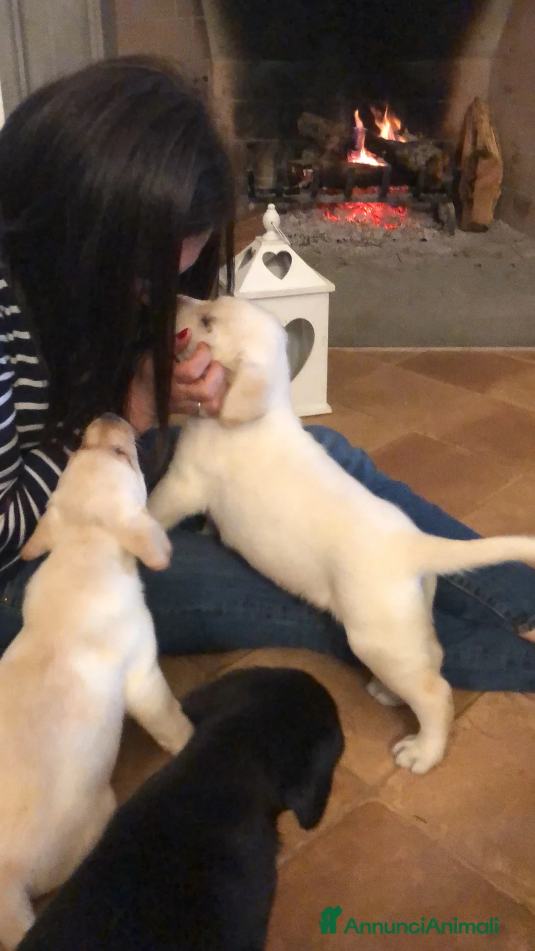 Immagine della galleria {{count}}