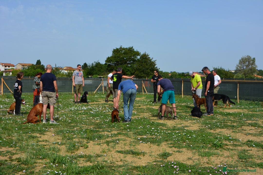 Immagine della galleria {{count}}