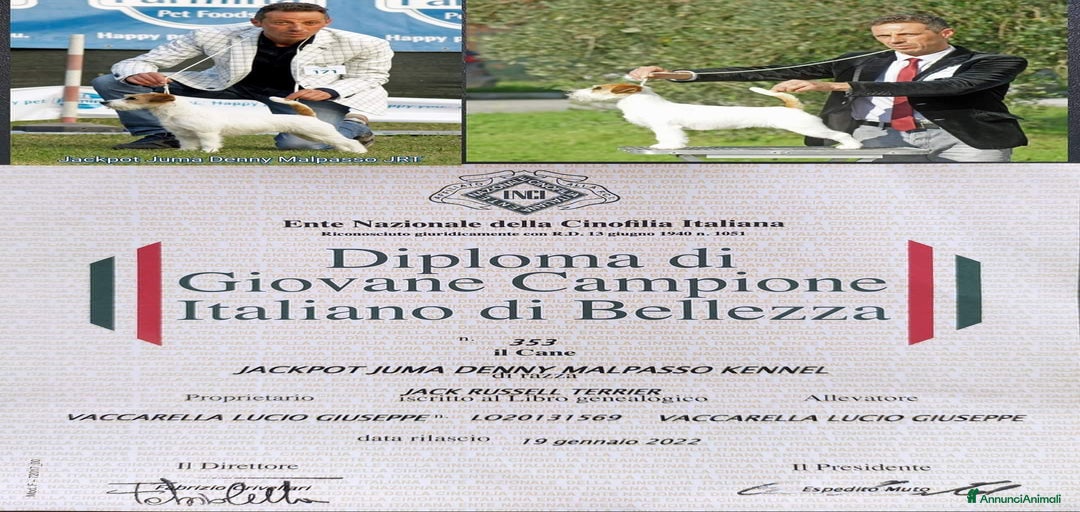 Immagine della galleria {{count}}