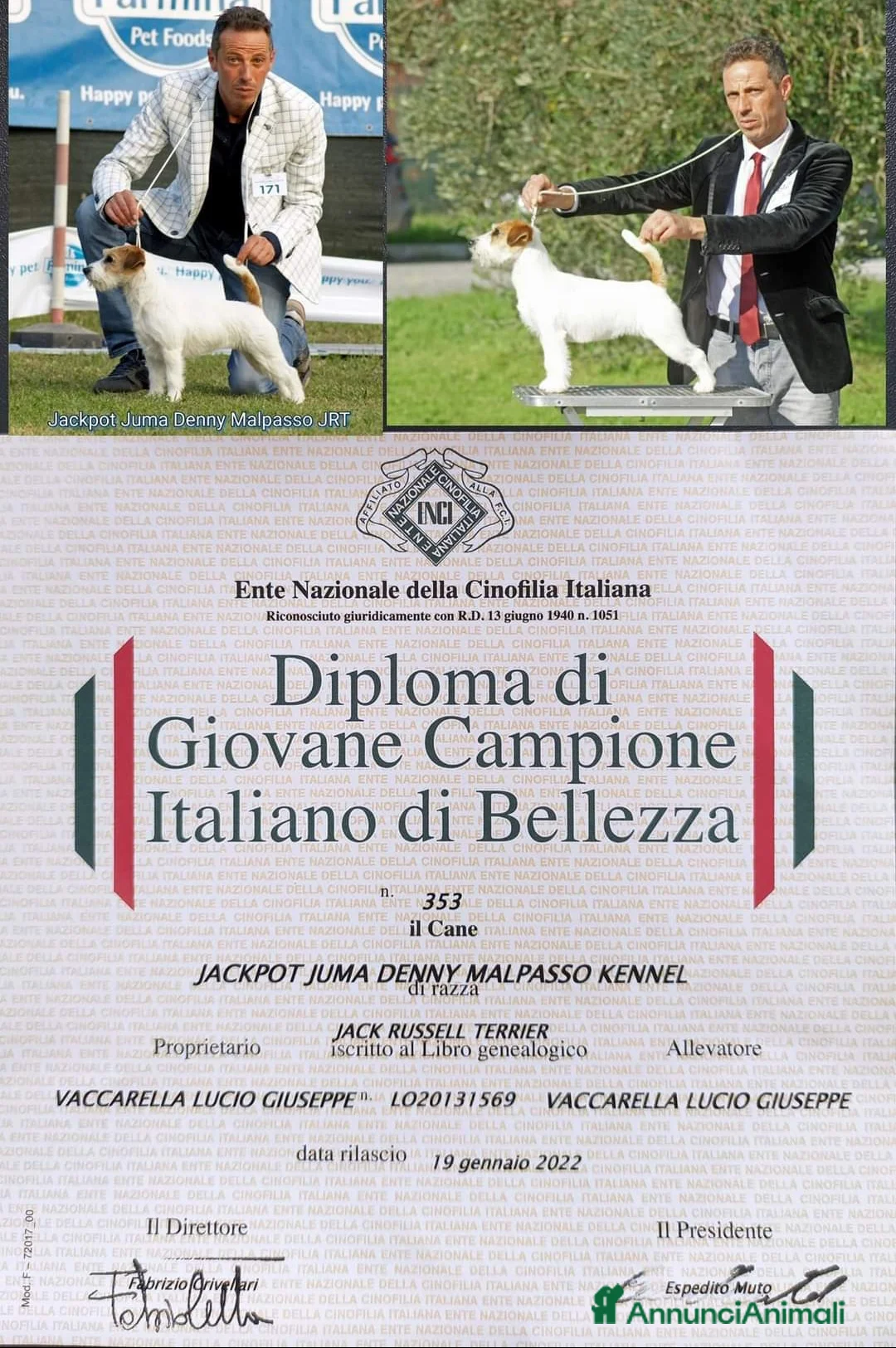 Immagine della galleria {{count}}