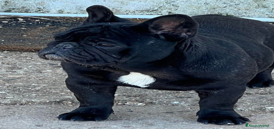 Immagine della galleria {{count}}