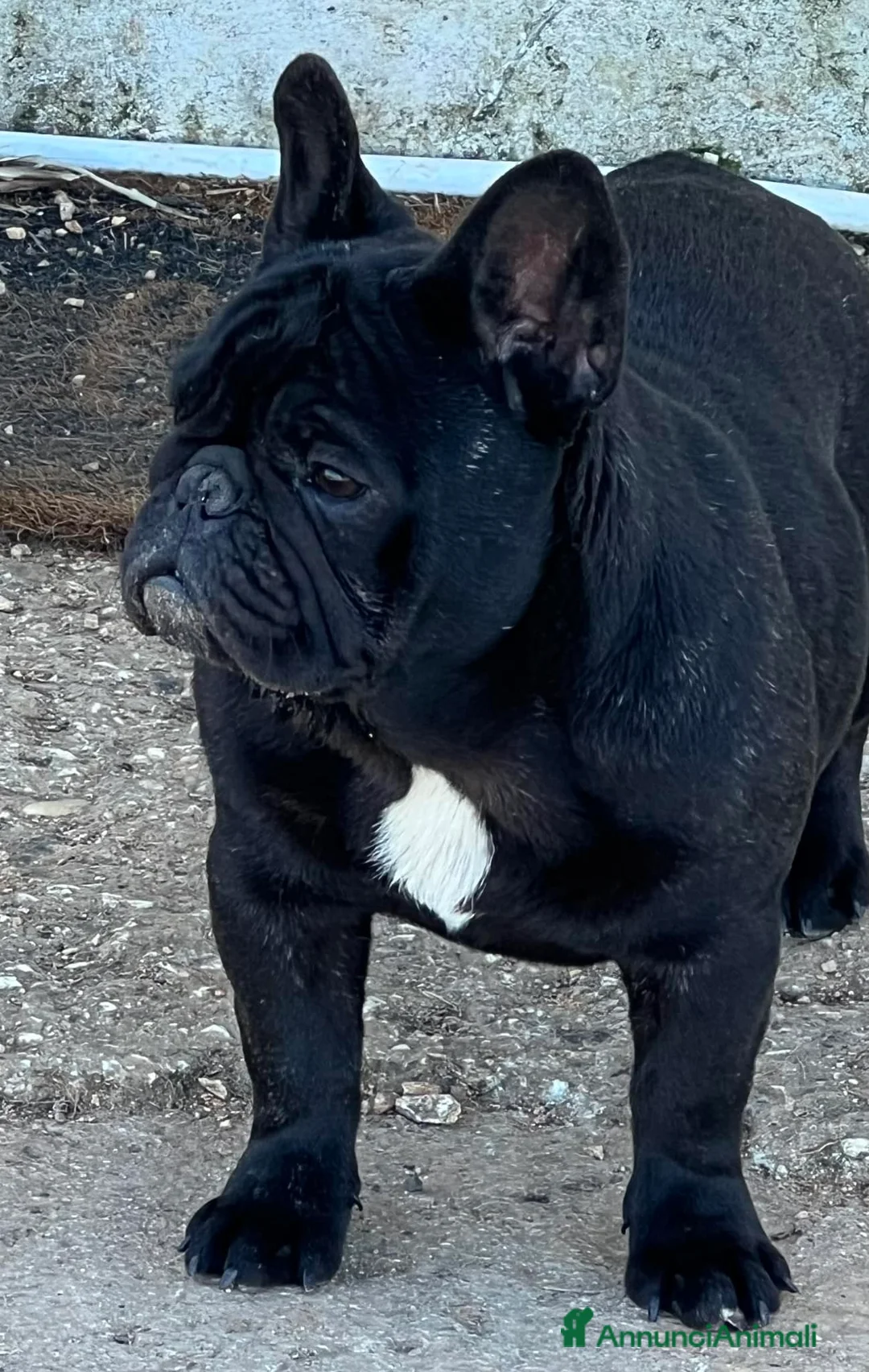 Immagine della galleria {{count}}