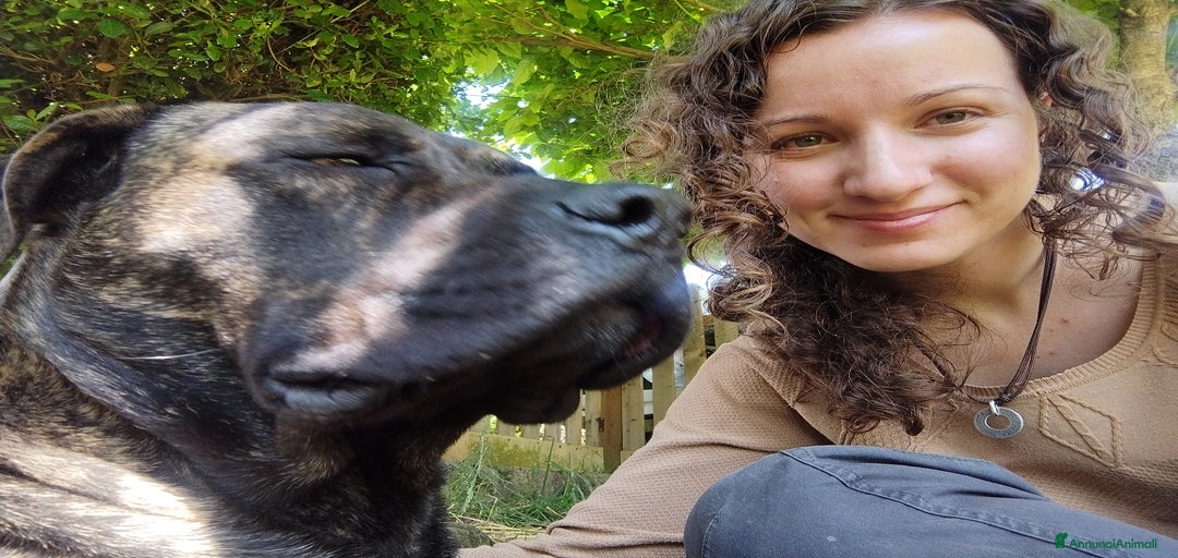 Immagine della galleria {{count}}