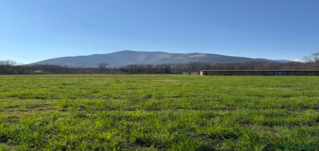 Immagine della galleria {{count}}